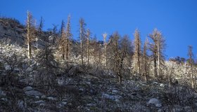 CASnowpackGetty-1020x680
