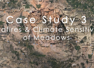 DSET Meadows Case Study - Video