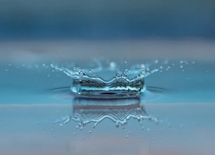 WWAO Newsletter October 2025